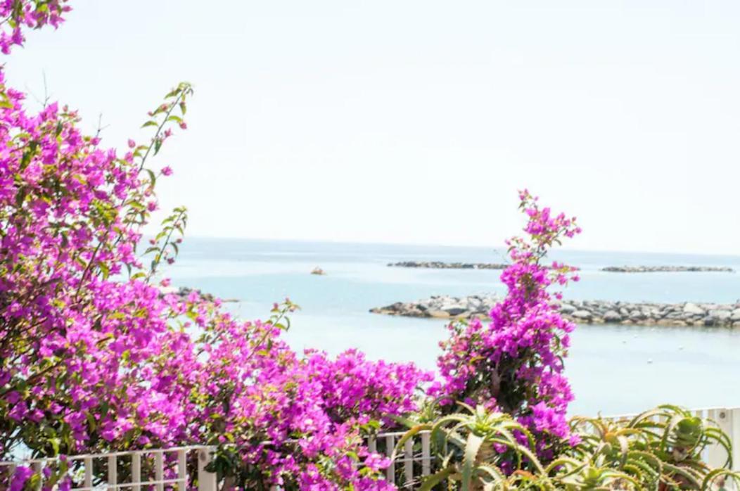 Giardino In Citta; Centralissimo 圣雷默 外观 照片